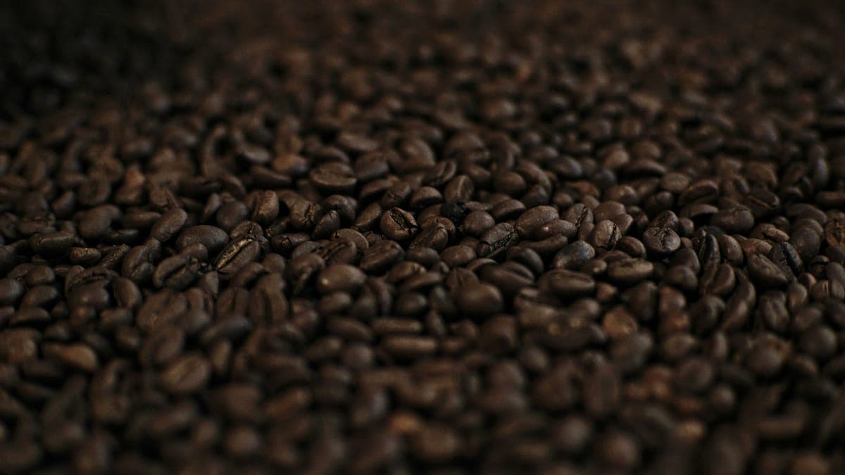 Flores Bajawa Honey