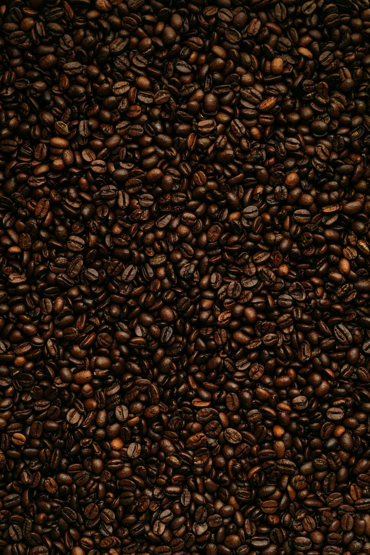Gayo Natural Grade 1 - 2