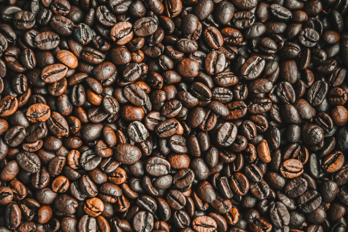 Temanggung Robusta Premium