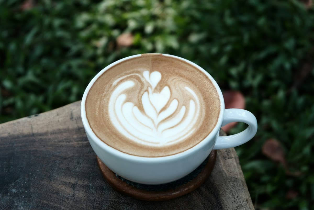Apa Itu Specialty Coffee? Panduan Lengkap untuk Pemula
