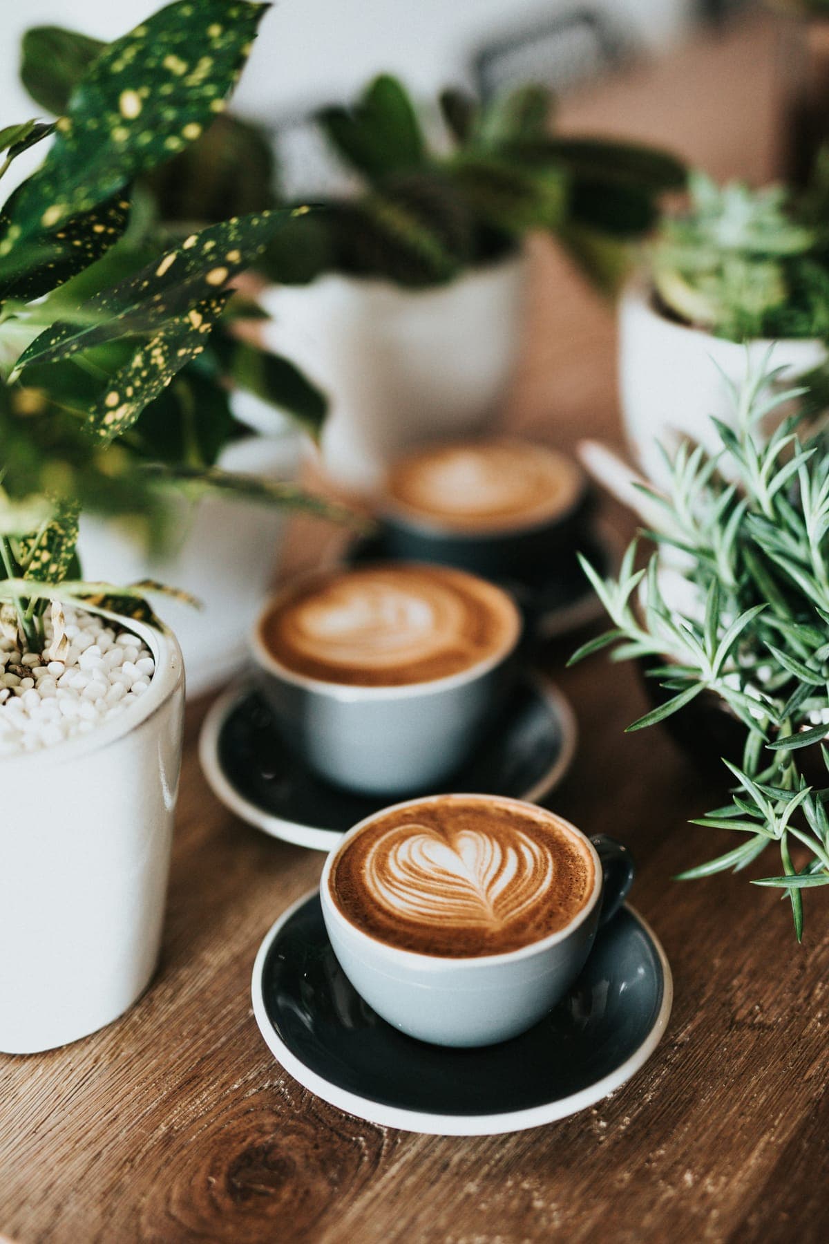 MOQ dan Hal-Hal yang Perlu Diketahui Pemilik Café Baru